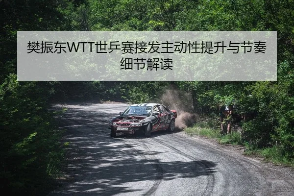 樊振东WTT世乒赛接发主动性提升与节奏细节解读